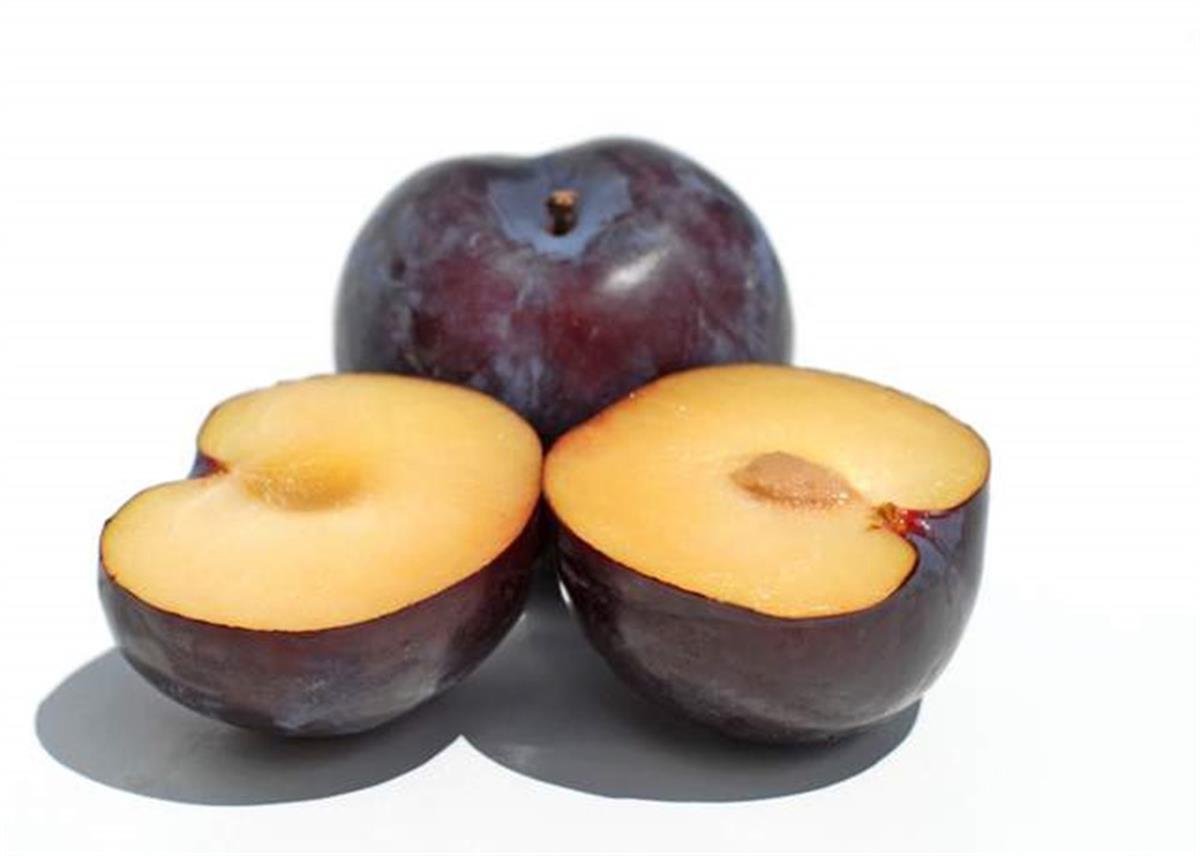 Anjelik Erik (Dondurulmuş)